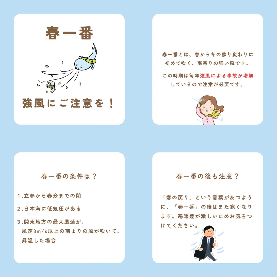 春一番到来！強風に気をつけて