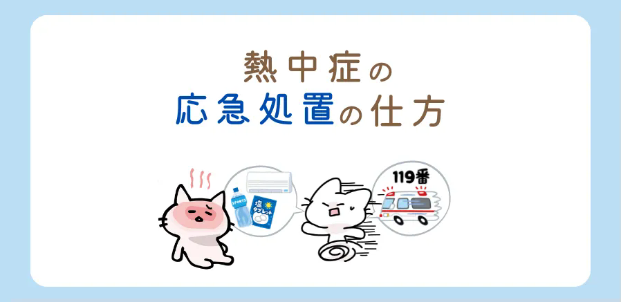 ７月は熱中症のピーク！応急処置方法を覚えておきましょう