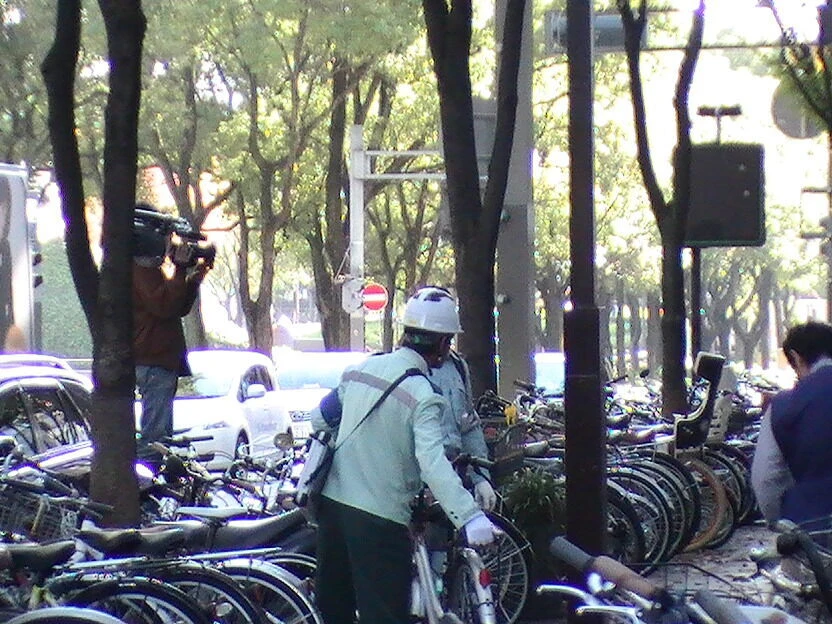 PIC_0730.JP