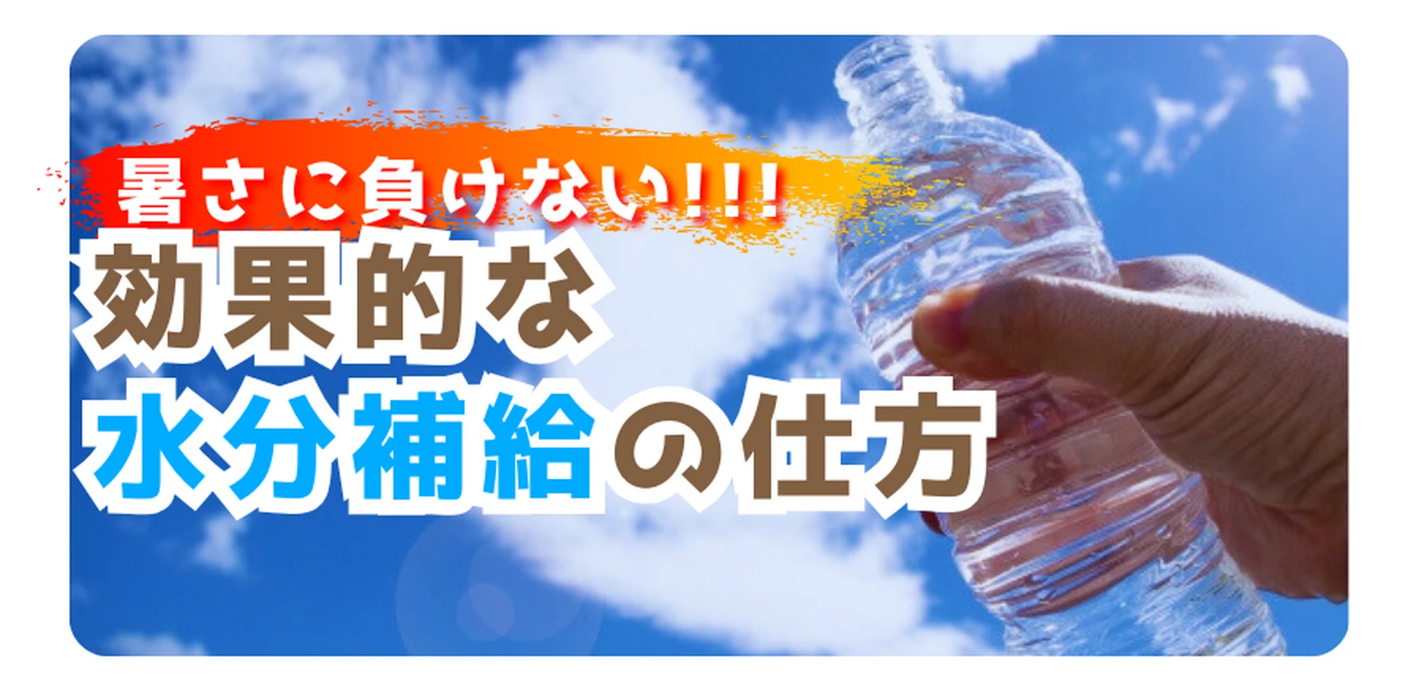 画像5334