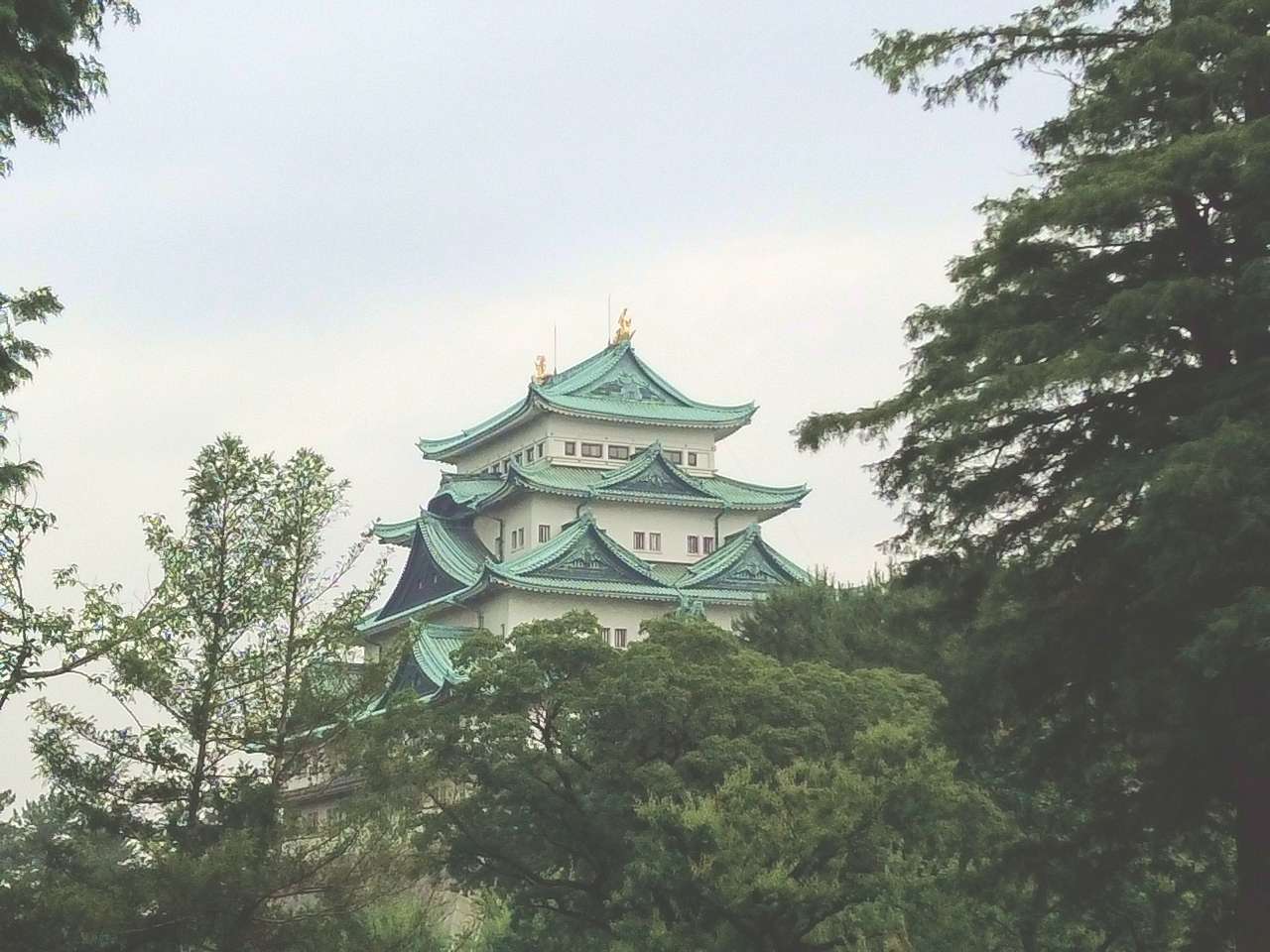 名古屋城に行ってきました！